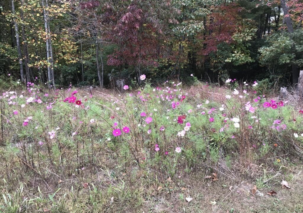 Photo of Outdoor in Ferrum