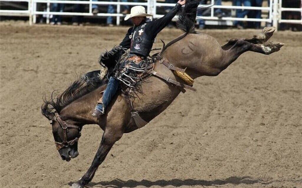 Photo of Others in Bridlewood