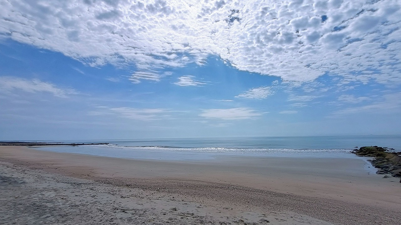 Photo of Others in Edisto Island