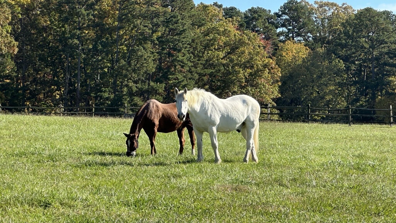 Photo of Others in Powhatan