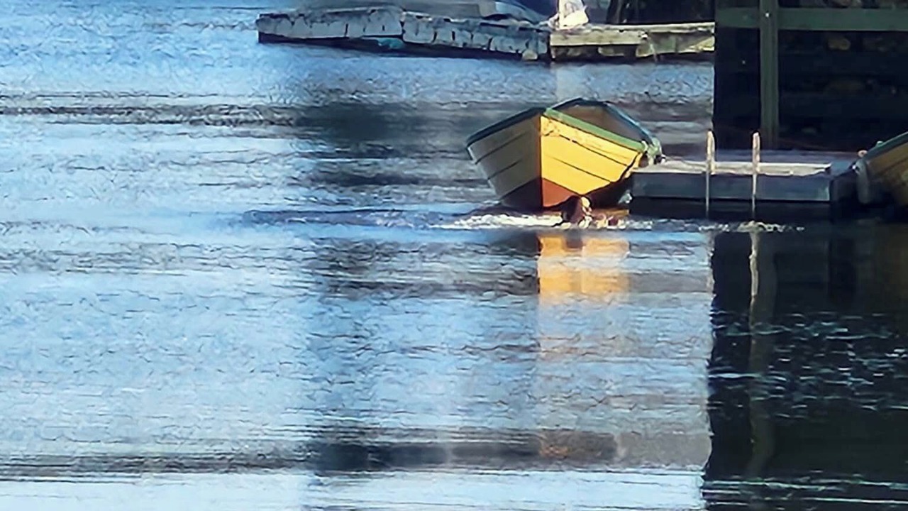 Photo of Others in Ketch Harbour