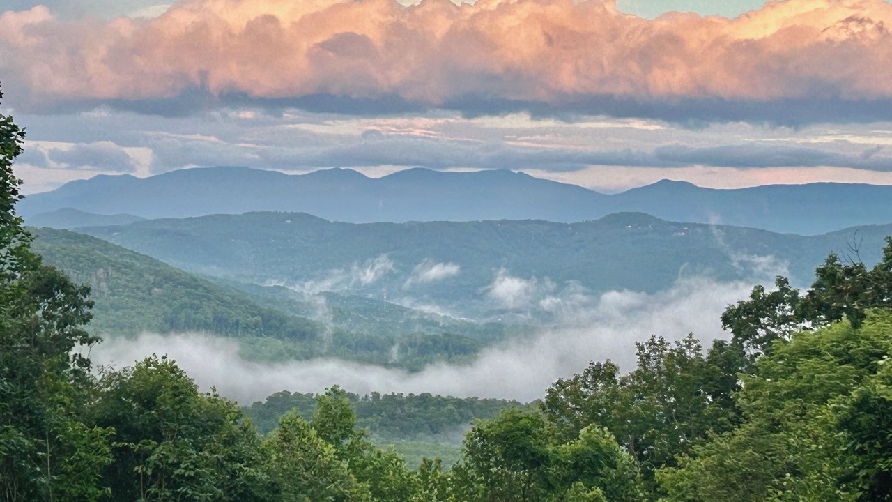 Photo of Others in Spruce Pine
