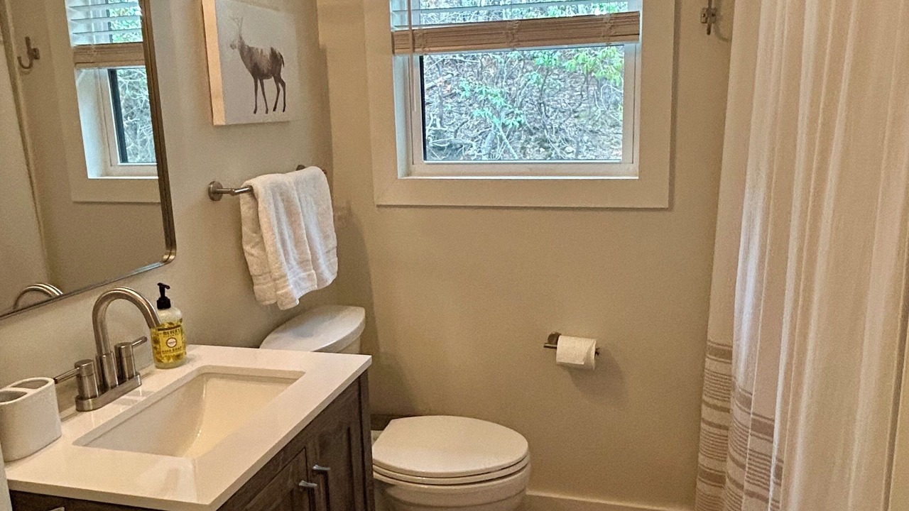 Photo of Bathroom in Spruce Pine
