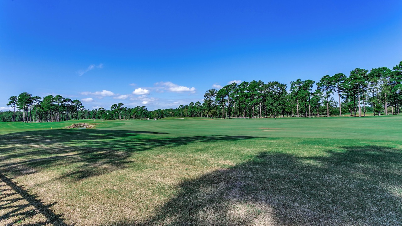 Photo of Others in Carolina Forest