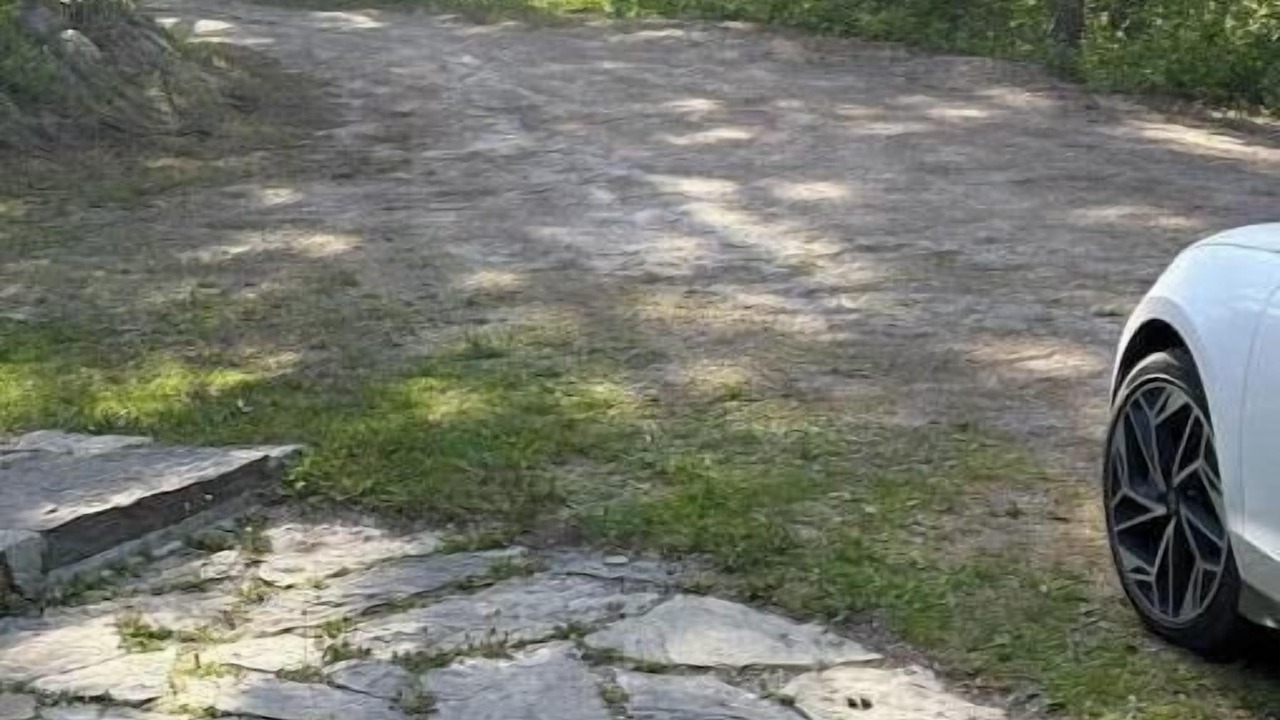 Photo of Outdoor in Golden