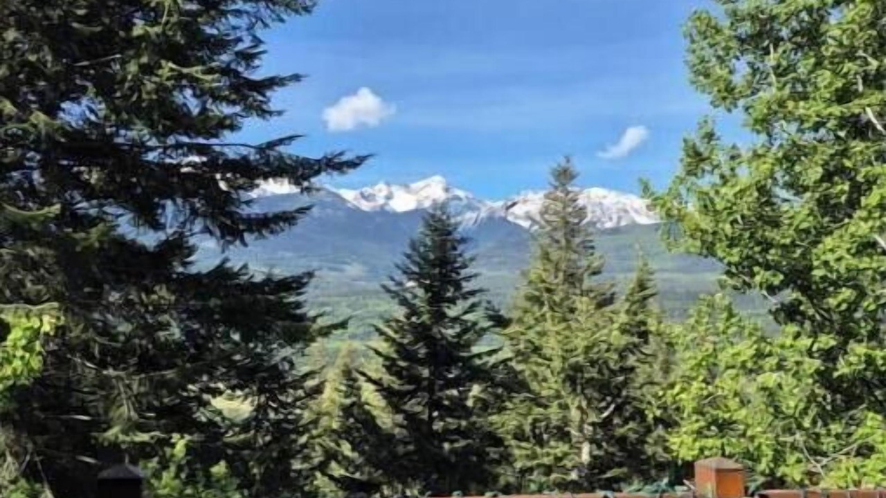Photo of Outdoor in Golden