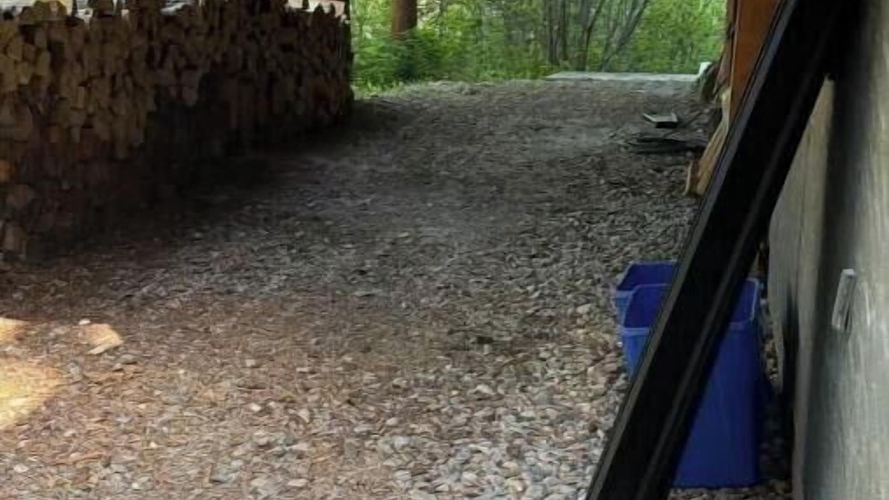 Photo of Outdoor in Golden