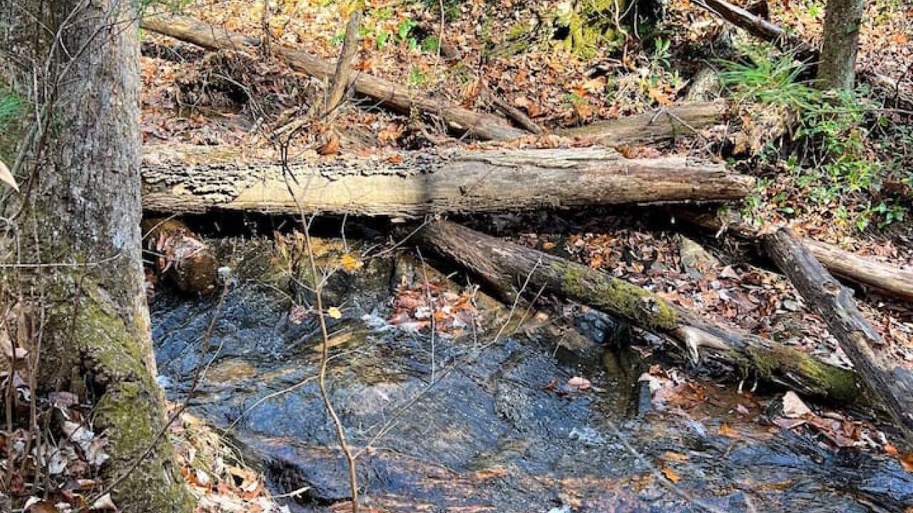 Photo of Others in Millers Creek