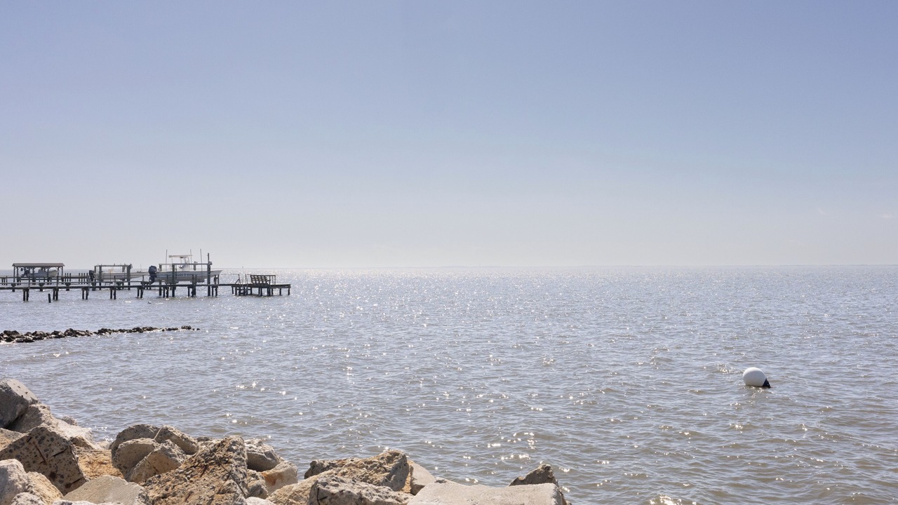 Photo of Others in Harkers Island