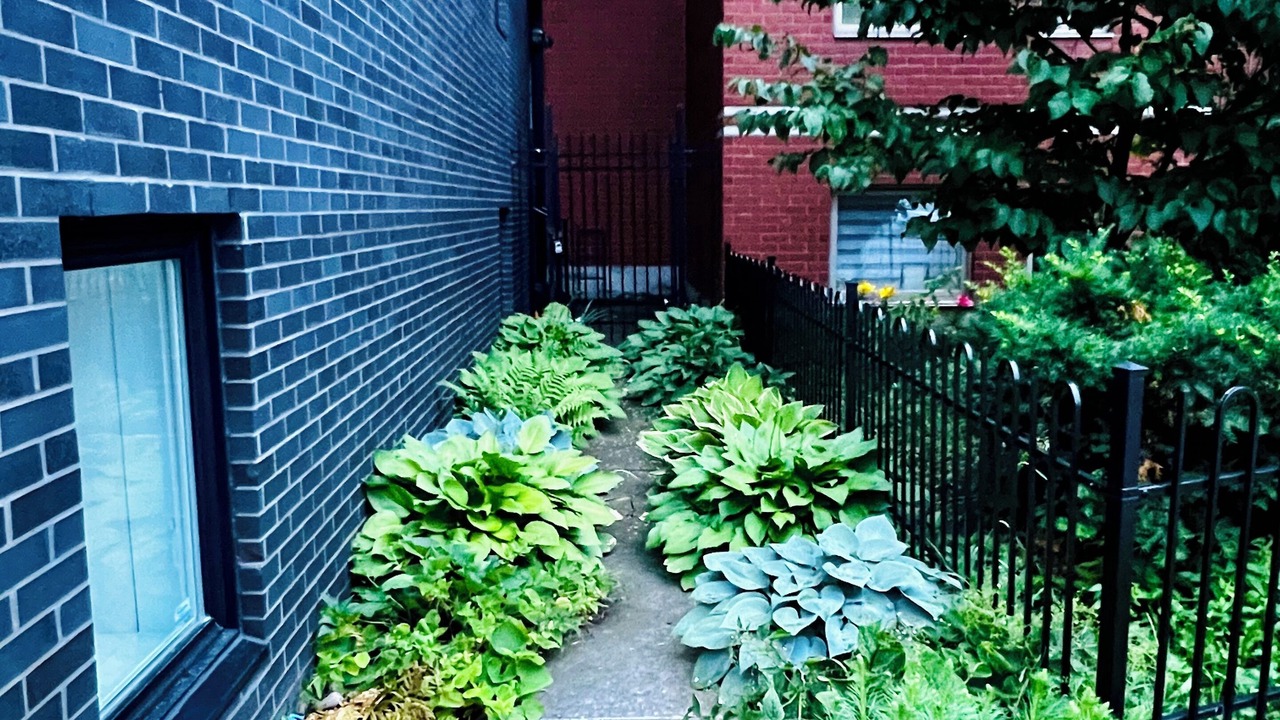 Photo of Outdoor in De Lorimier