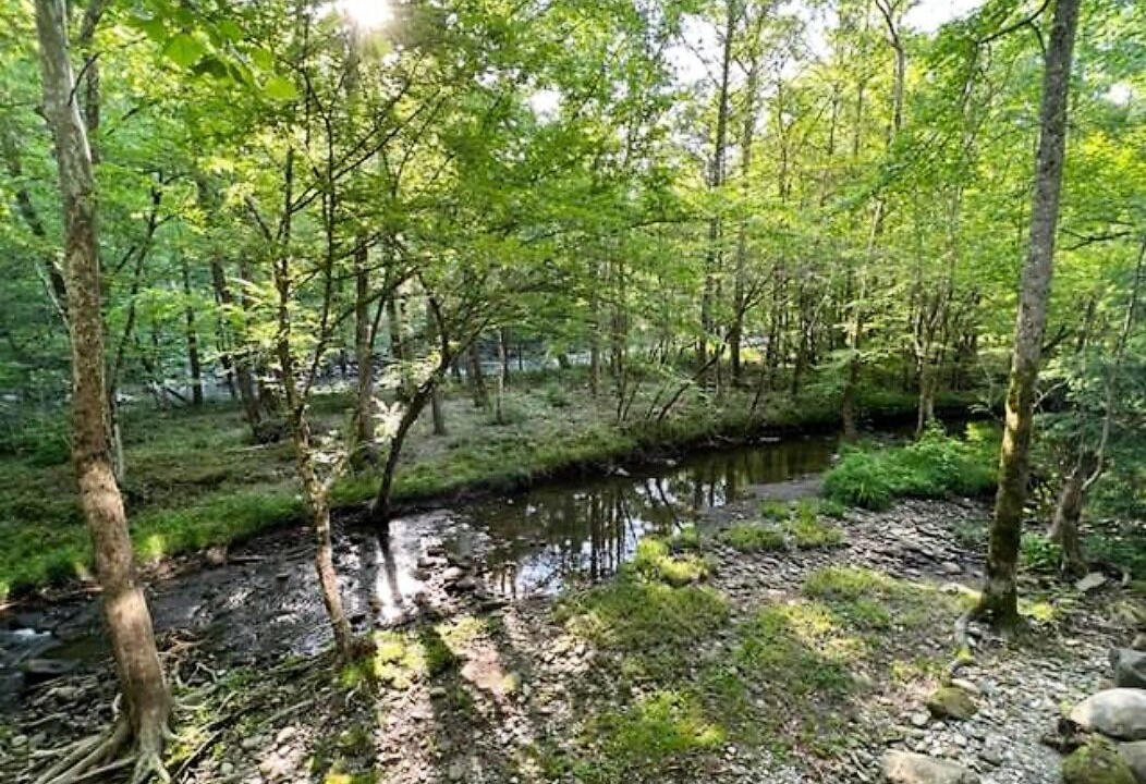 Photo of Outdoor in Sevierville