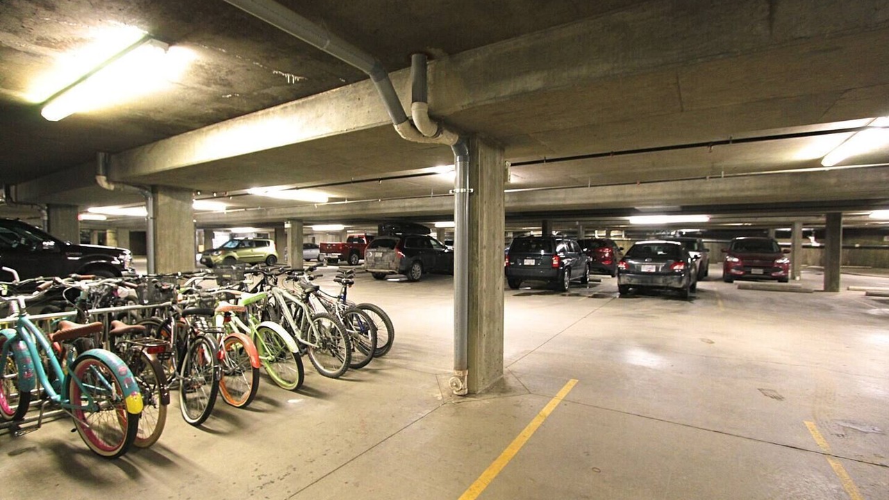 Photo of Others in Fernie