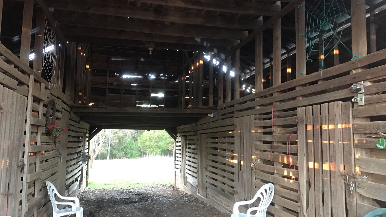 Photo of Outdoor in Albemarle