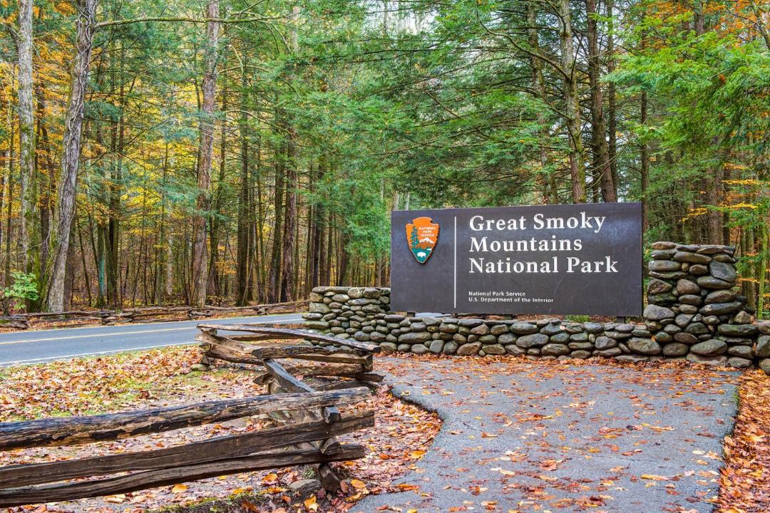 Photo of Others in Black Bear Falls