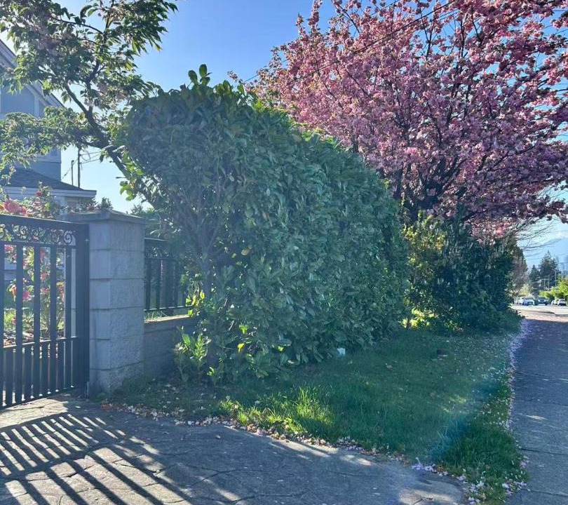 Photo of Others in Burnaby
