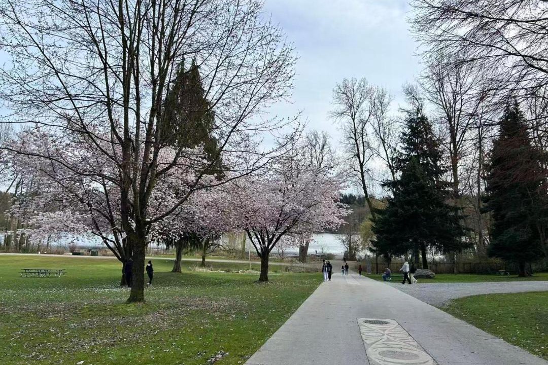 Photo of Others in Burnaby