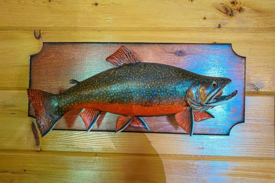 Photo of Others in Madawaska