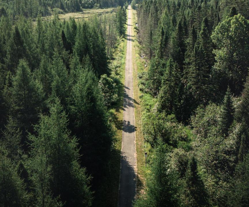 Photo of Others in Lac-Saguay