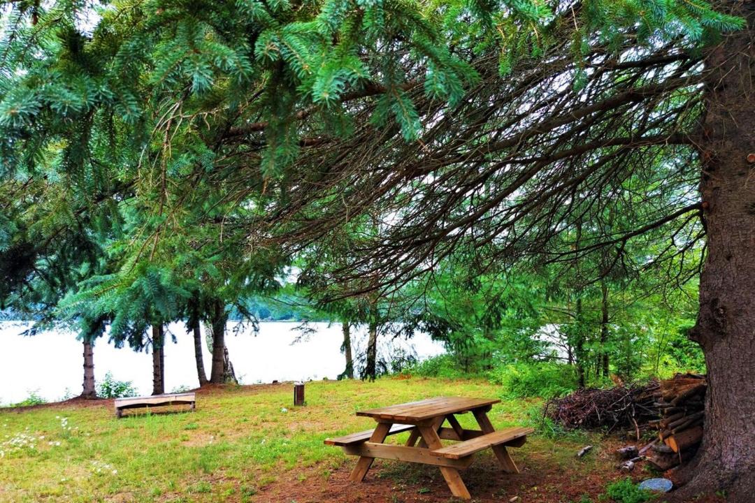 Photo of Others in Haliburton