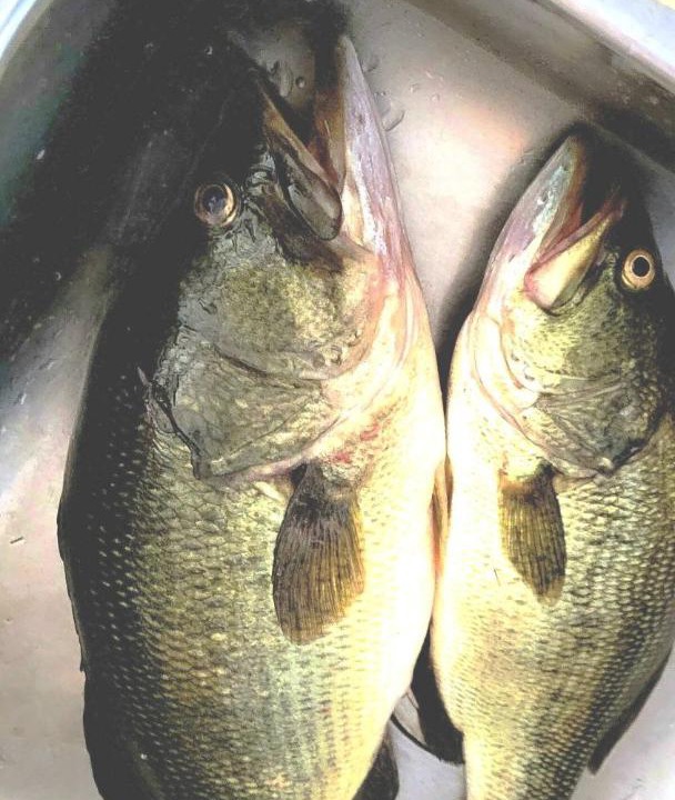 Photo of Others in Haliburton