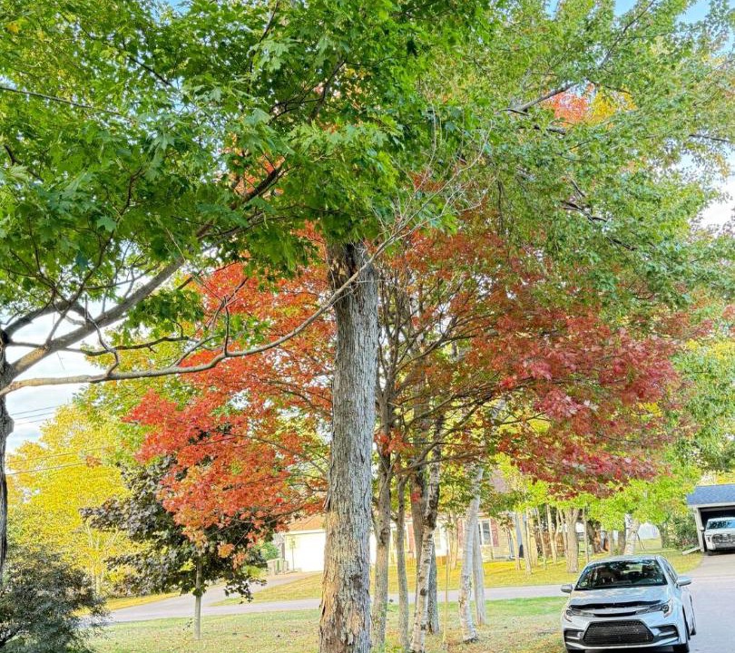 Photo of Outdoor in Charlottetown