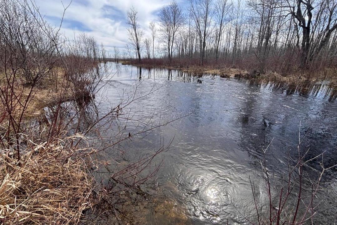 Photo of Others in Wiarton