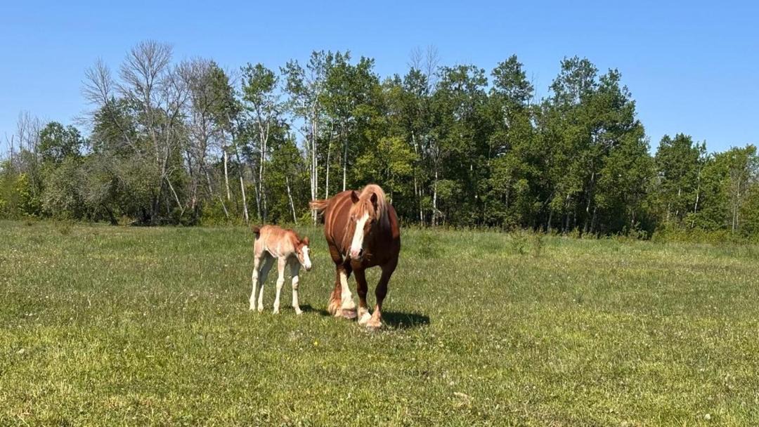 Photo of Others in Wiarton