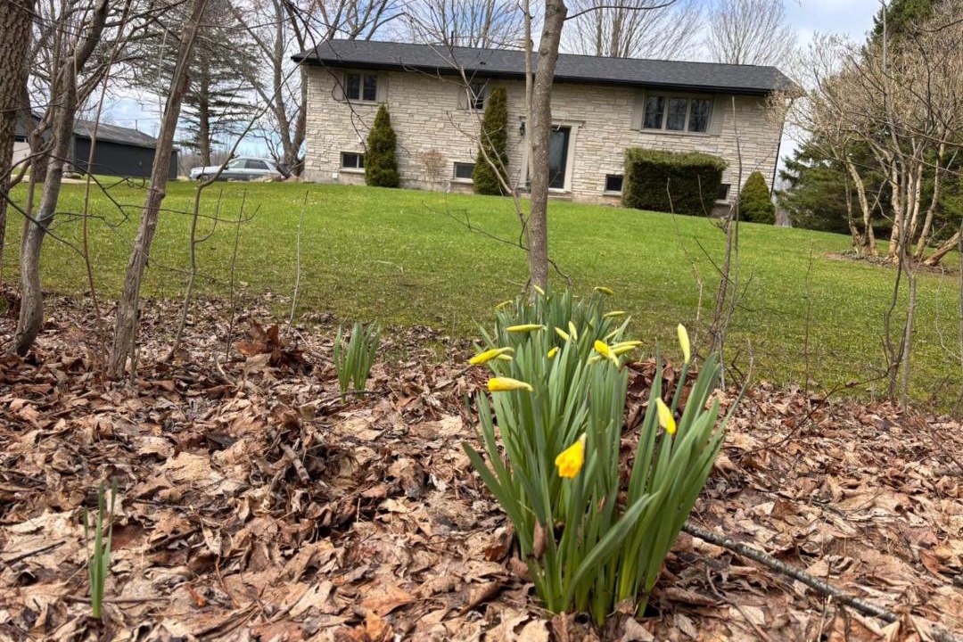 Photo of Others in Wiarton