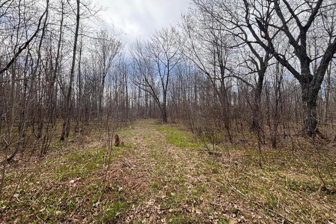 Photo of Others in Wiarton