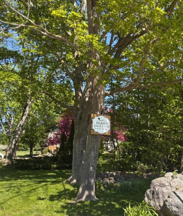 Photo of Others in Wiarton