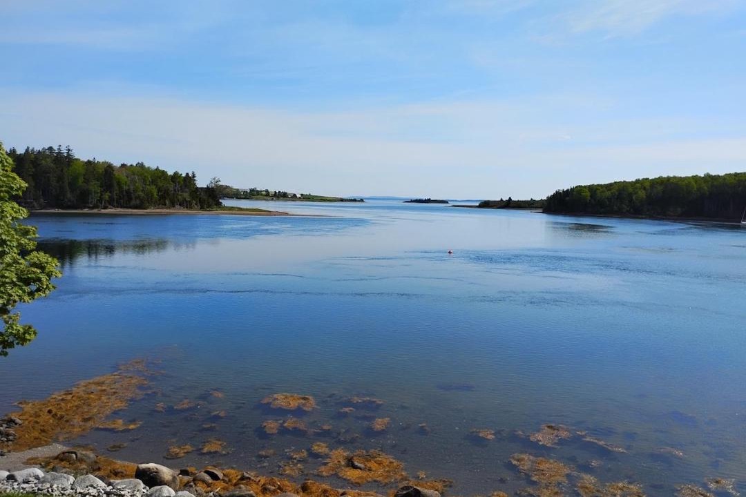 Photo of Others in Heckmans Island