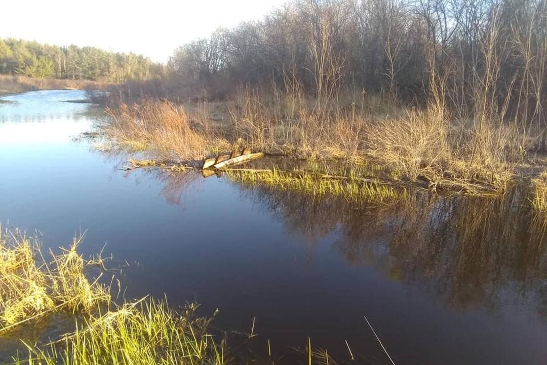 Photo of Others in French River