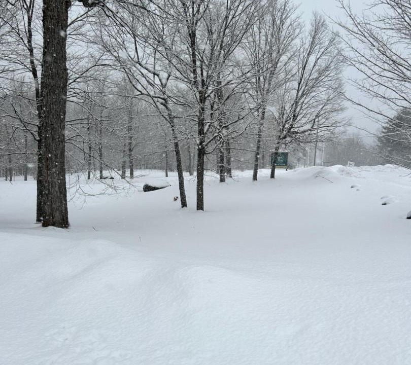 Photo of Others in Magnetawan