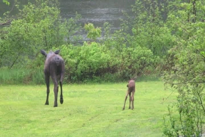 Photo of Others in Magnetawan