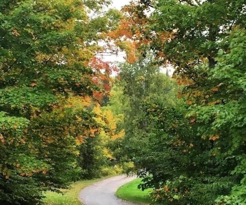 Photo of Others in Magnetawan