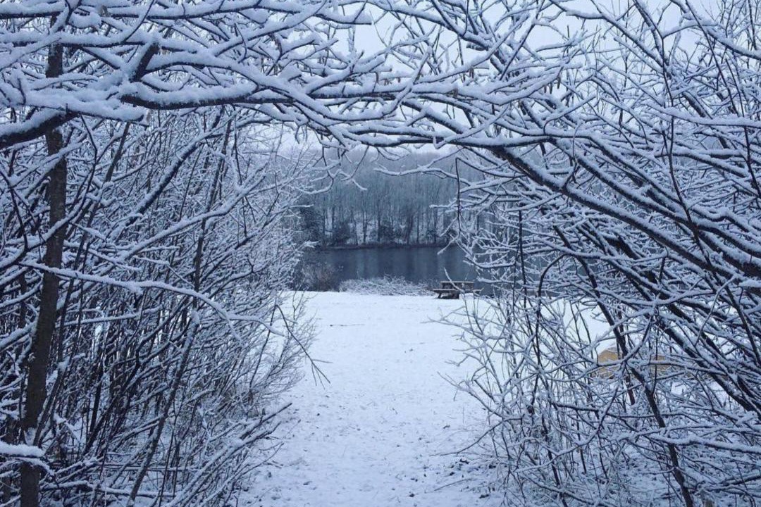 Photo of Others in Magnetawan