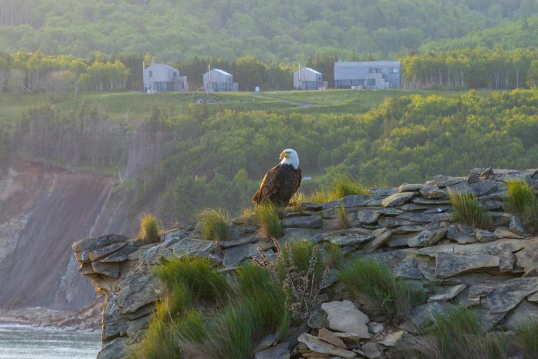 Photo of Others in Inverness County