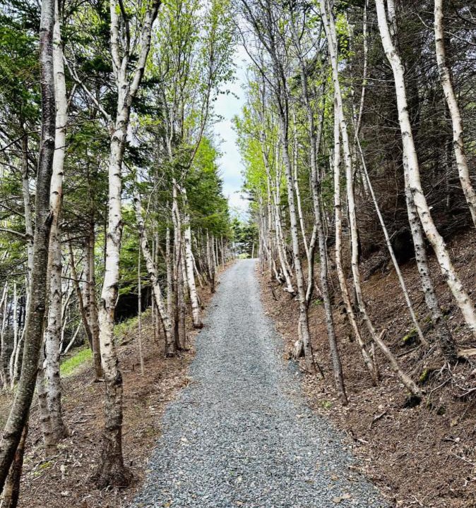 Photo of Others in Inverness County