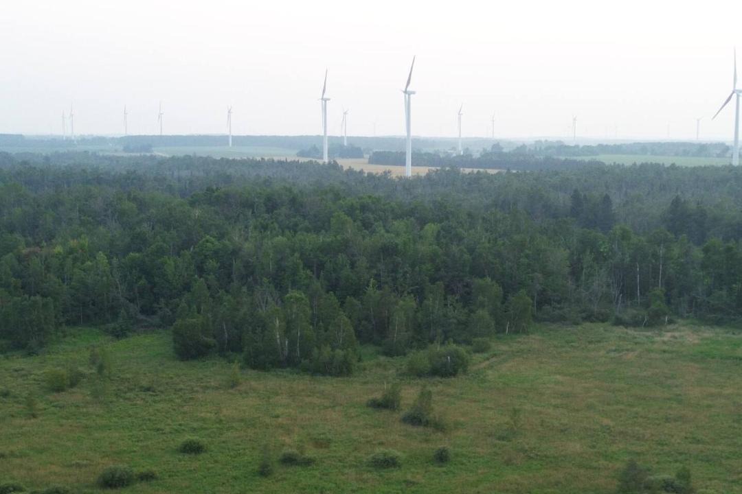 Photo of Others in Melancthon