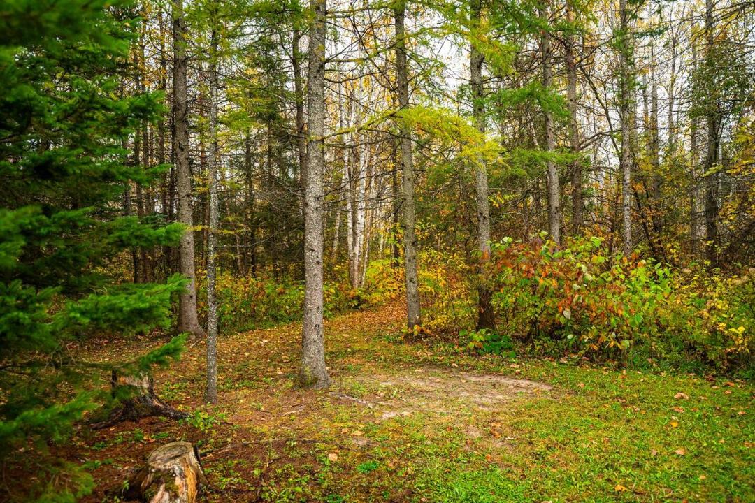 Photo of Others in Melancthon