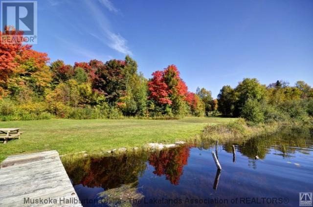 Photo of Others in Magnetawan