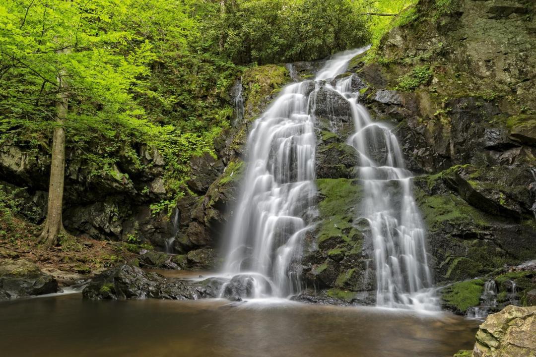 Photo of Others in Black Bear Falls