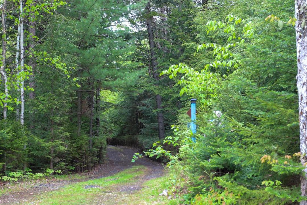 Photo of Others in Lunenburg County