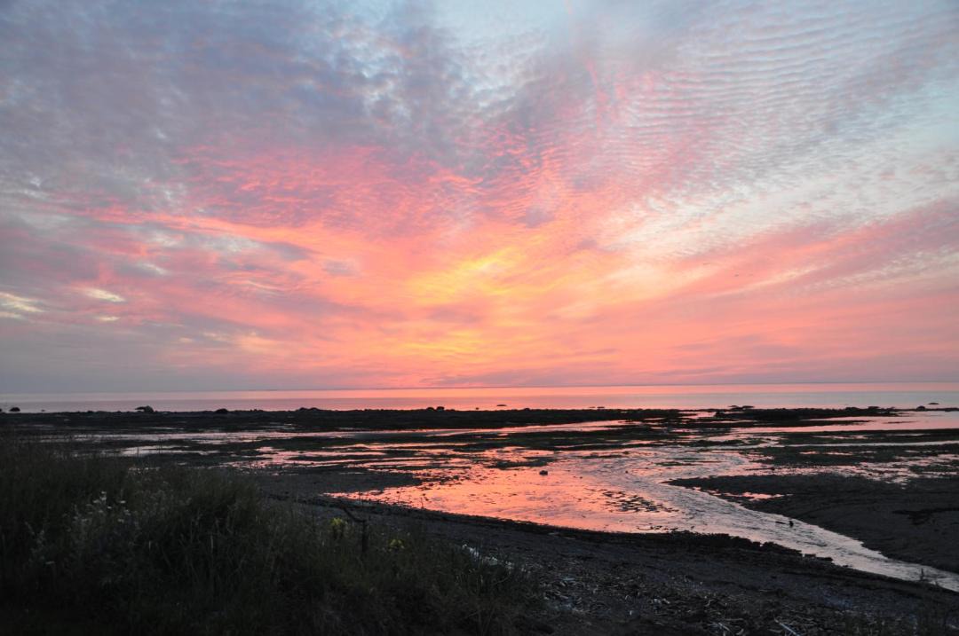Photo of Others in Sainte-Flavie