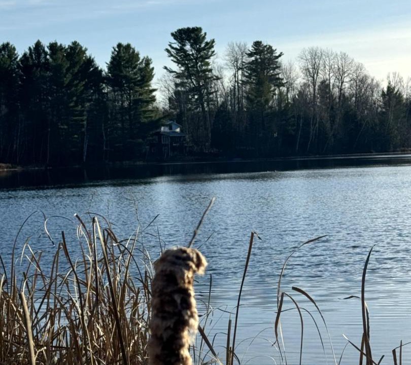 Photo of Others in Saint-Gabriel-de-Brandon