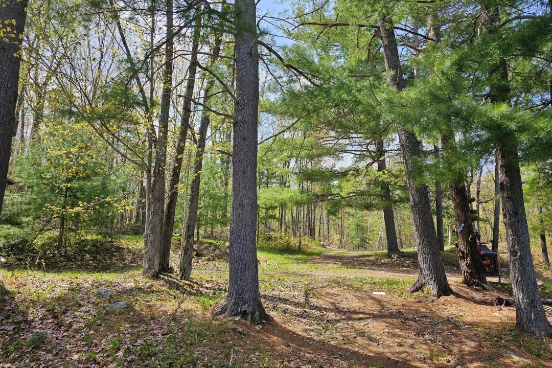 Photo of Others in Addington Highlands