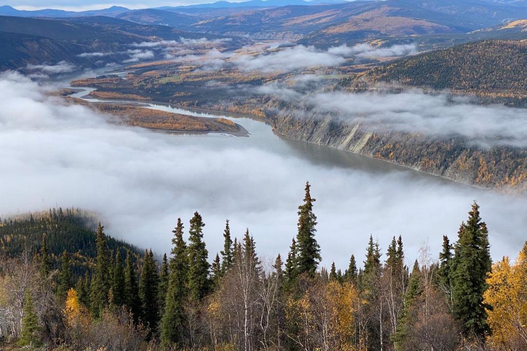 Photo of Others in Dawson City