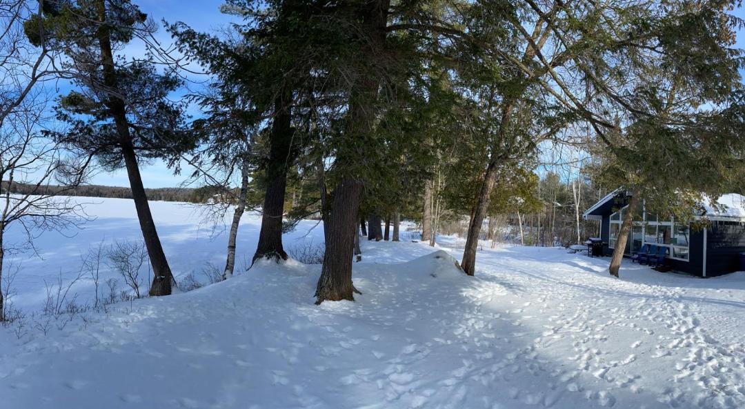 Photo of Others in Lake of Bays
