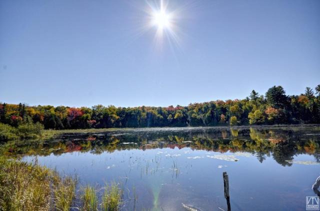 Photo of Others in Magnetawan