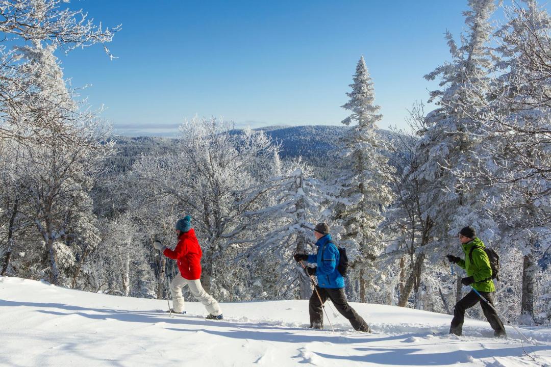 Photo of Others in Sainte-Anne-des-Monts